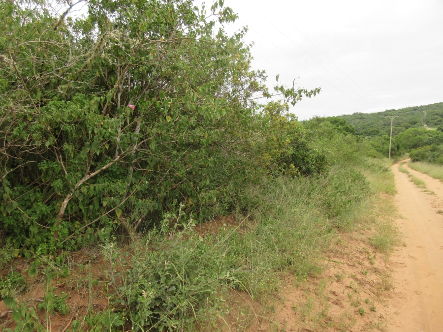 0 Bedroom Property for Sale in Bathurst Eastern Cape